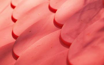 West Holme plastic roof costs