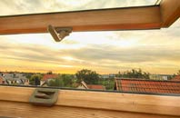 rated West Holme roof window companies